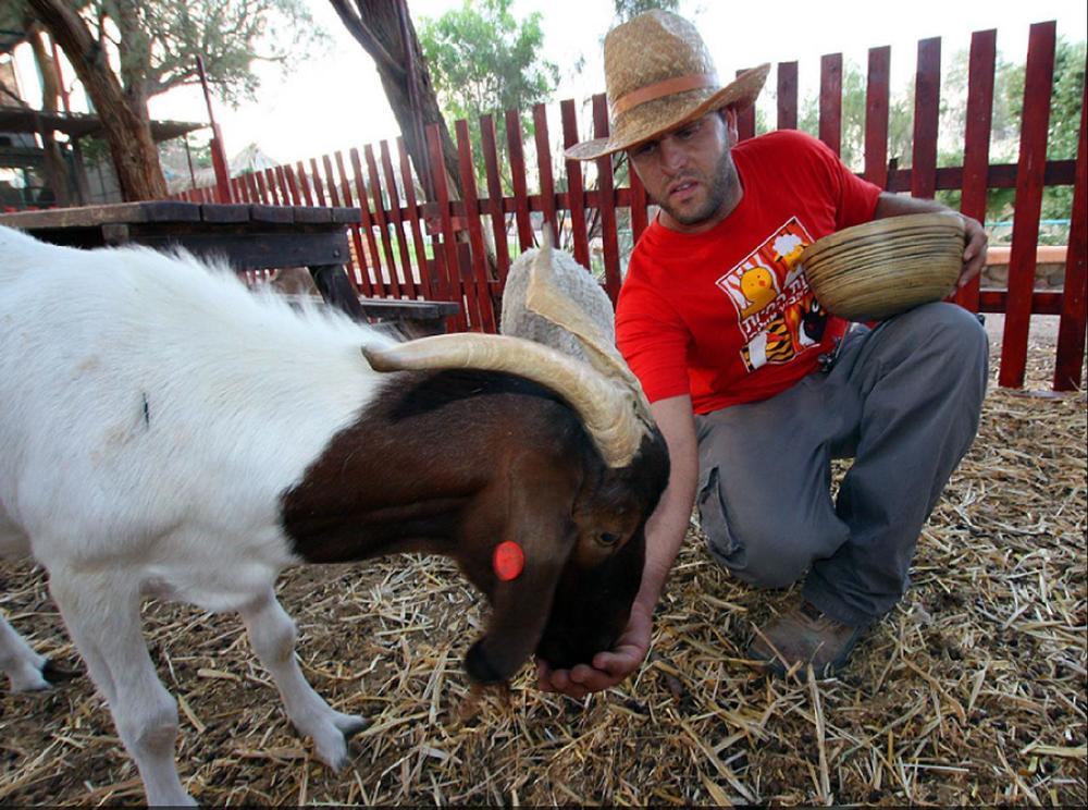 Eilot Kibbutz Country Lodging เอลัต ภายนอก รูปภาพ