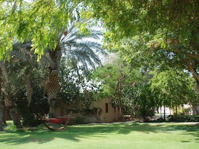 Eilot Kibbutz Country Lodging เอลัต ภายนอก รูปภาพ